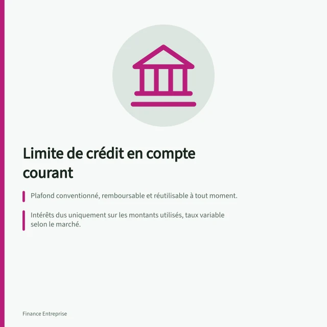 Limite de crédit en compte courant: Plafond conventionné, remboursable et réutilisable à tout moment.; Intérêts dus uniquement sur les montants utilisés, taux variable selon le marché.; Garanties liées à la valeur des actifs (mobiliers ou immobiliers). Limite de crédit en compte courant : couvrir un creux de trésorerie en PME